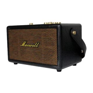 Marshall Amplifier-Camel